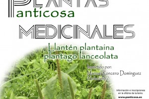 Jornadas Plantas Medicinales || 